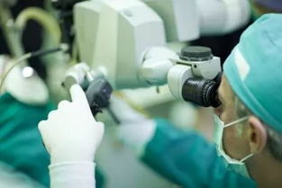 光纖成像材料與激光技術(shù) 發(fā)展脈絡(luò)、特性解析與應(yīng)用前景