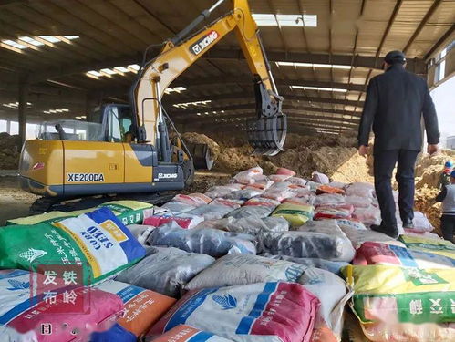 我市集中銷毀8萬斤假劣種子，強化農(nóng)作物種子市場監(jiān)管