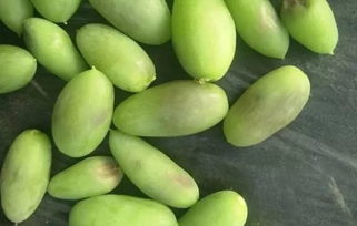 植?？萍贾r(nóng)業(yè)發(fā)展，特色產(chǎn)業(yè)推動鄉(xiāng)村振興